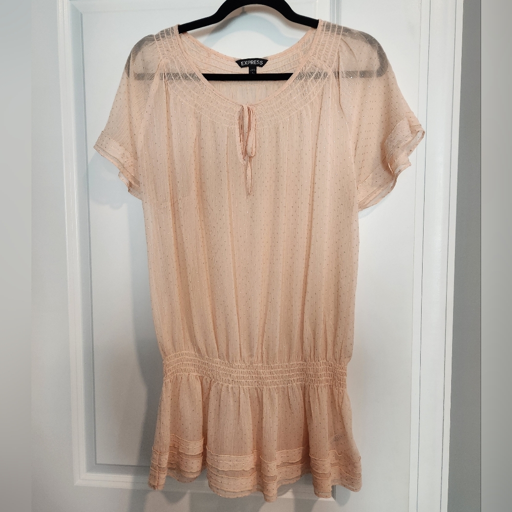 Express sheer top